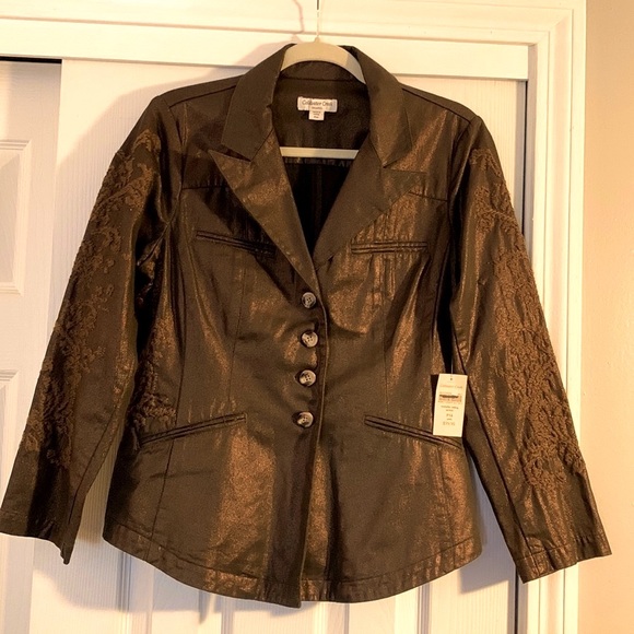 Cold water Creek gorgeous brown metallic jacket with embroidery! - Picture 1 of 11
